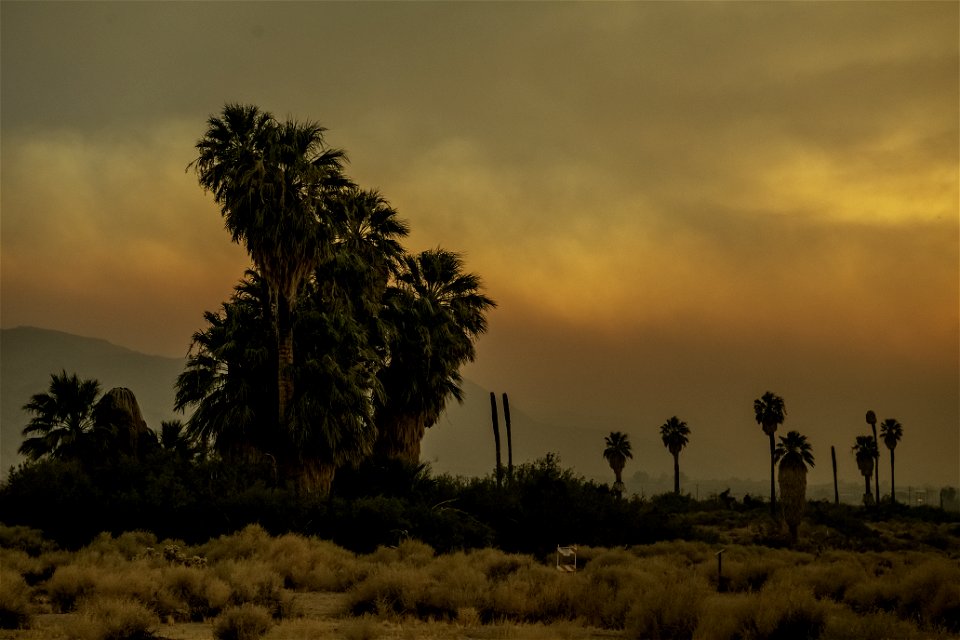 Oasis of Mara with smoke from the Apple Fire at sunset photo