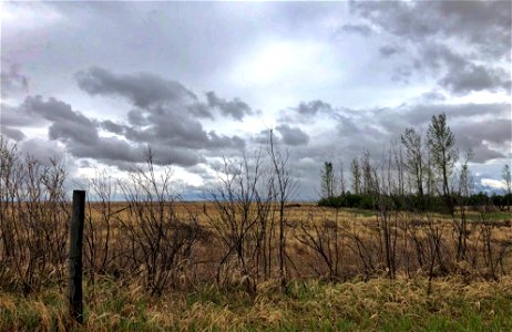 Back Sky Drama