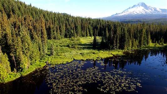 Mt Hood National Forest Trillium Lake photo