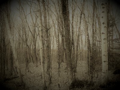 20221026-FS-Superior-SAR-041