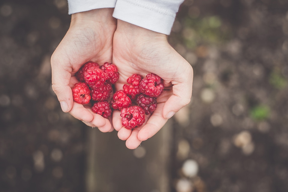 H&s Holding Raspberries
