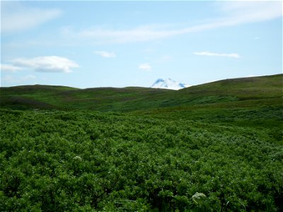 Izembek Landscape photo