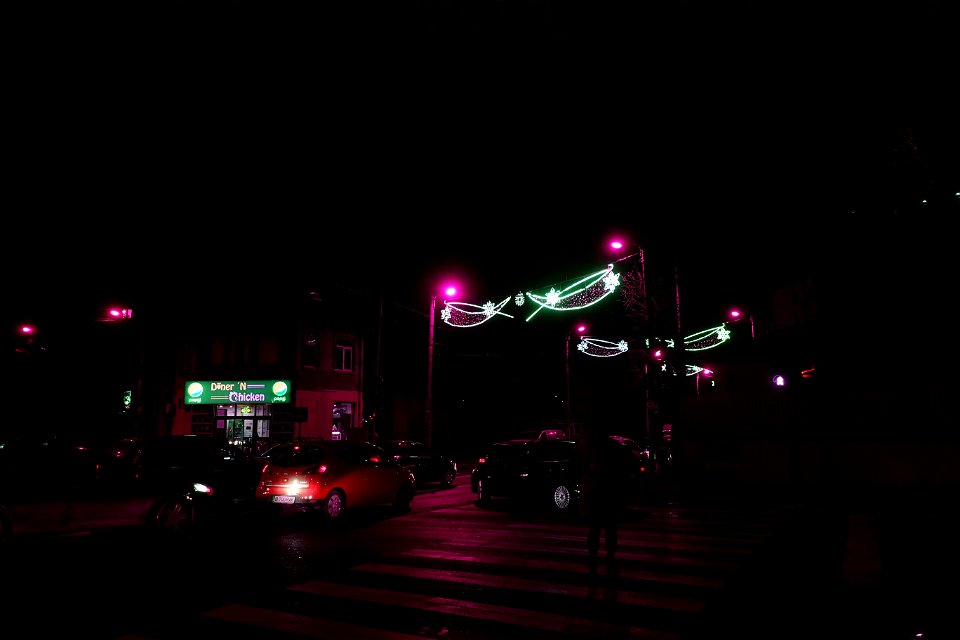 DSC08696