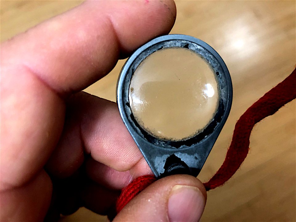 2021/365/349 Trusty Magnifier