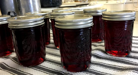 Home canned grape jelly photo