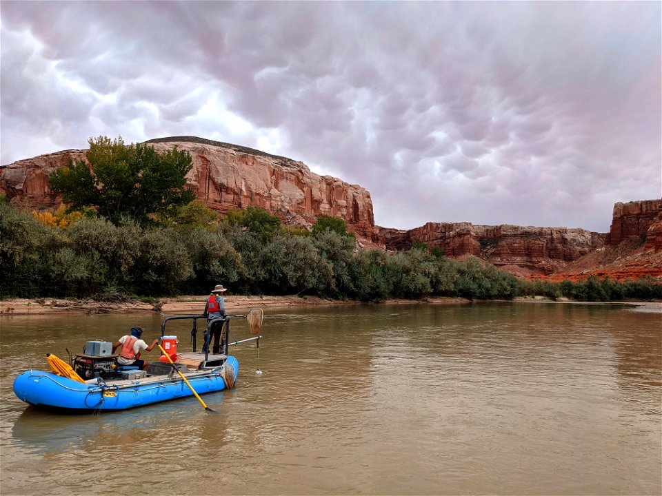 San Juan River Sampling