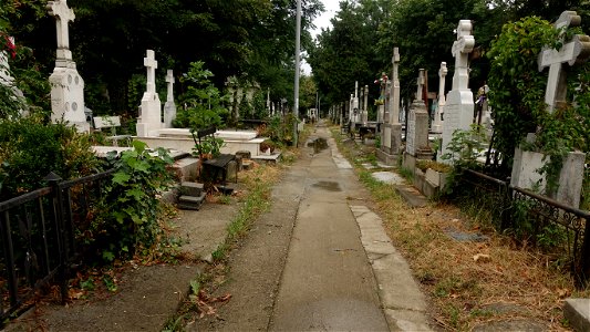 DSC06583