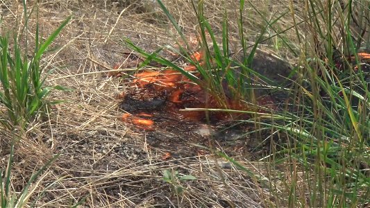 Rangeland Fire photo