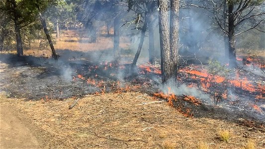 David Canyon Prescribed Fire photo