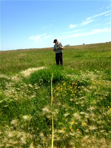 Biologist performing an NPAM SurveyLake Andes Wetland Management District South Dakota photo