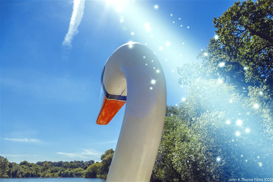 Ride a white swan. Pedal Boat Mote Park Maidstone