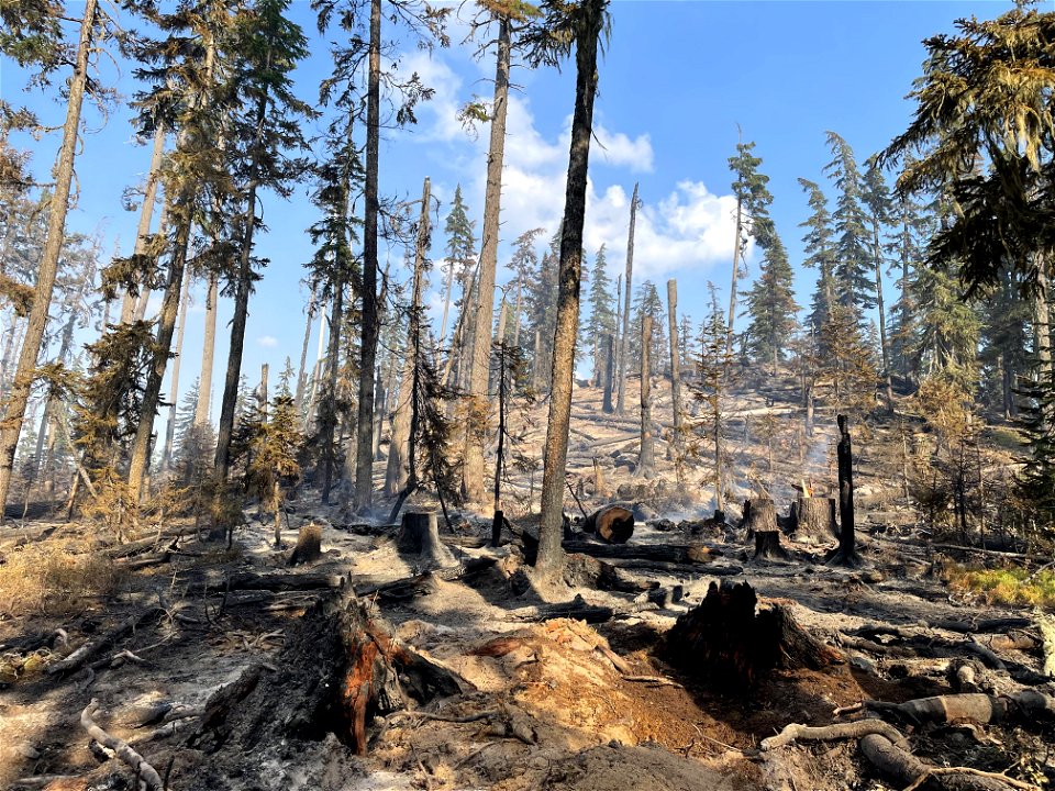 BurnedArea Cedar Creek Fire Wllmte NF 220827