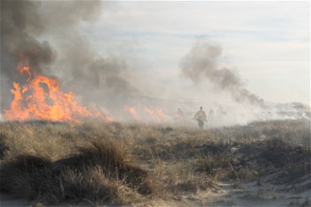 Siuslaw Oregon Dunes Prescribed Burn 2022