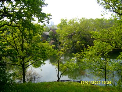 200704_0229