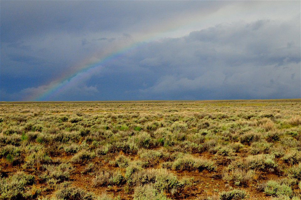 Rain in the sage steppe at Seedskadee National Wildlife Refuge Wyoming