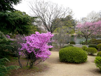 Shinjuku Gyoen National Garden in Shinjuku-ku and Shibuya-ku