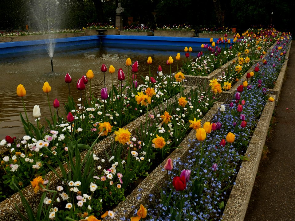 Herestrau Park in spring (115)