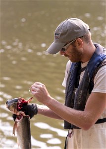 Invasive Carp Research on the James River in South Dakota. Photo: Sam Stukel (USFWS)