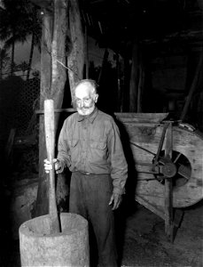 SC 364394 - One of the most successful respected pioneers on the island.
