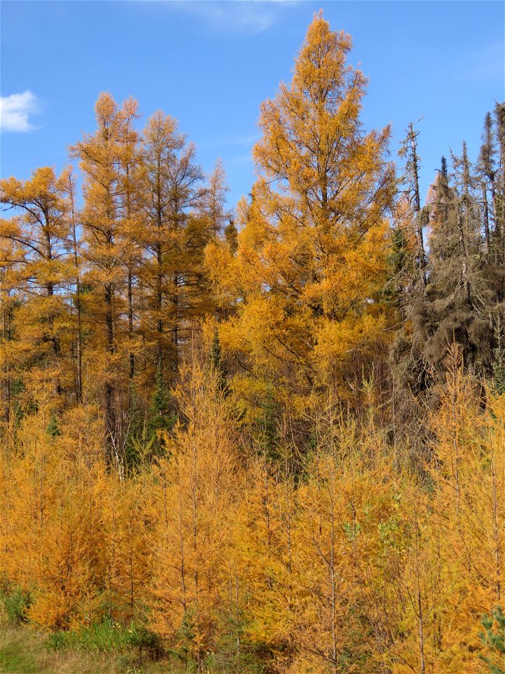 20211019-FS-Superior-SAR-008
