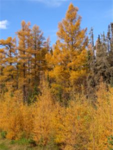 20211019-FS-Superior-SAR-008
