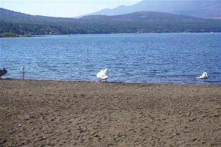 Lake Yamanaka photo