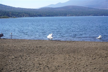 Lake Yamanaka