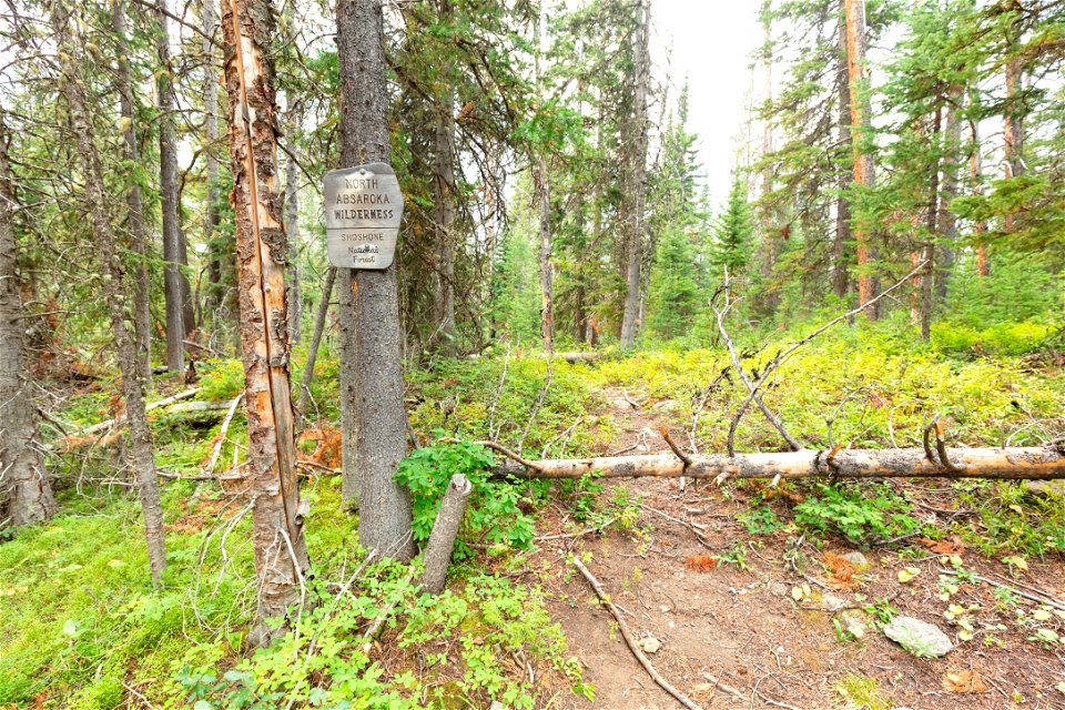 Shoshone National Forest, Sunlight Creek Trail: Wildernerness boundary
