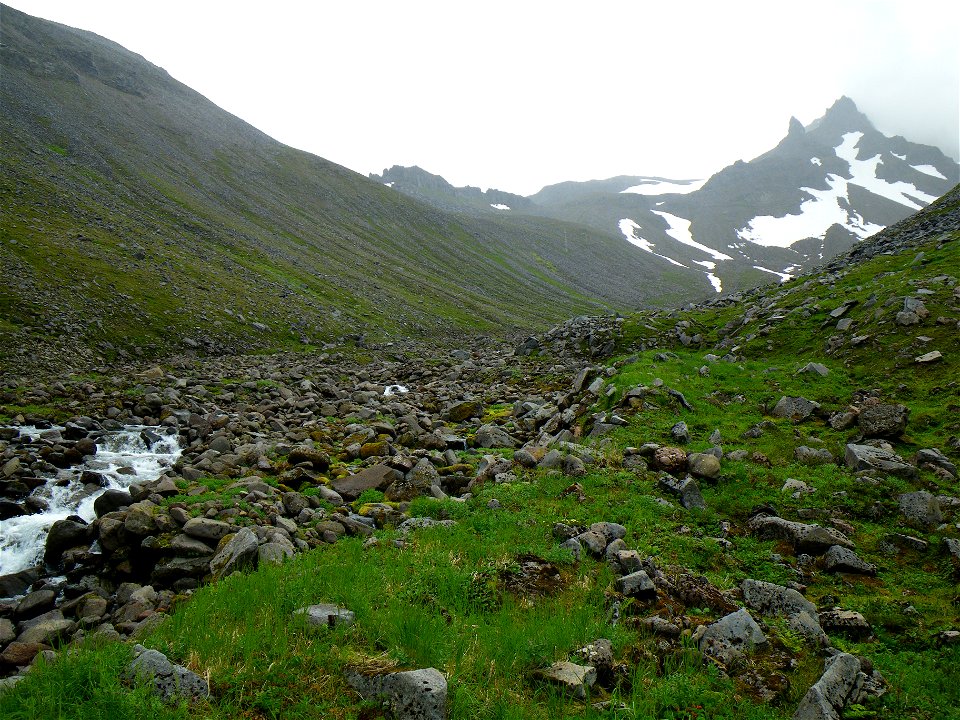 Izembek Wilderness photo