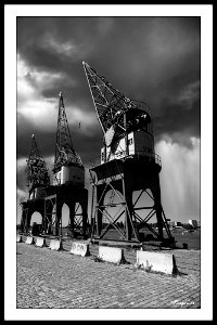 BW Alienation 1.2