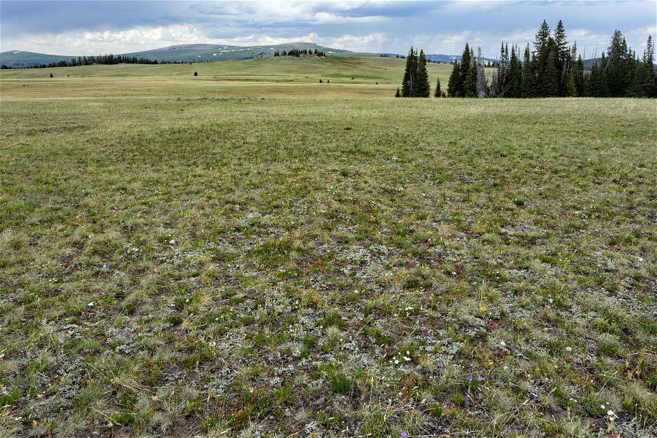 Near Bald Mountain