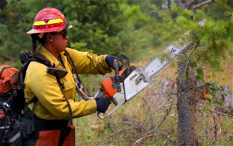 Sawyer, Bolt Creek Fire, Washington
