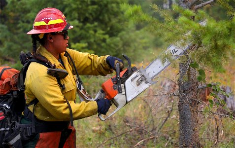 Sawyer, Bolt Creek Fire, Washington photo