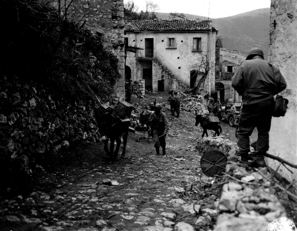 SC 184716 - Mules start up a steep trail at Pantano with supplies for the troops, of the 5th Rifle Regiment, 2nd Moroccan Division, (French), at the top of Mount Pantano.