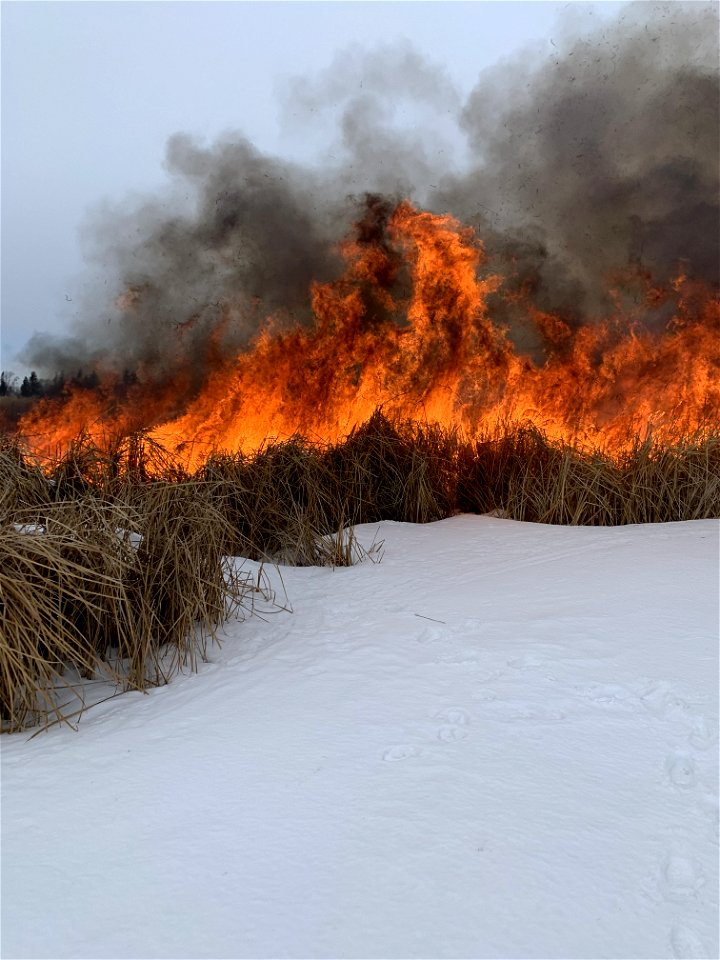 2021 USFWS Fire Employee Photo Contest Category: Fuels Management
