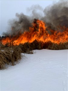 2021 USFWS Fire Employee Photo Contest Category: Fuels Management photo