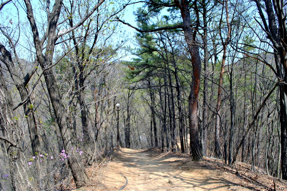 Taejosan Mountain