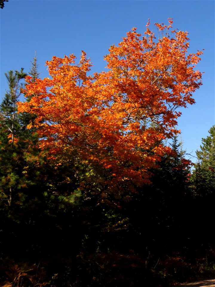 20220927-FS-Superior-SAR-012