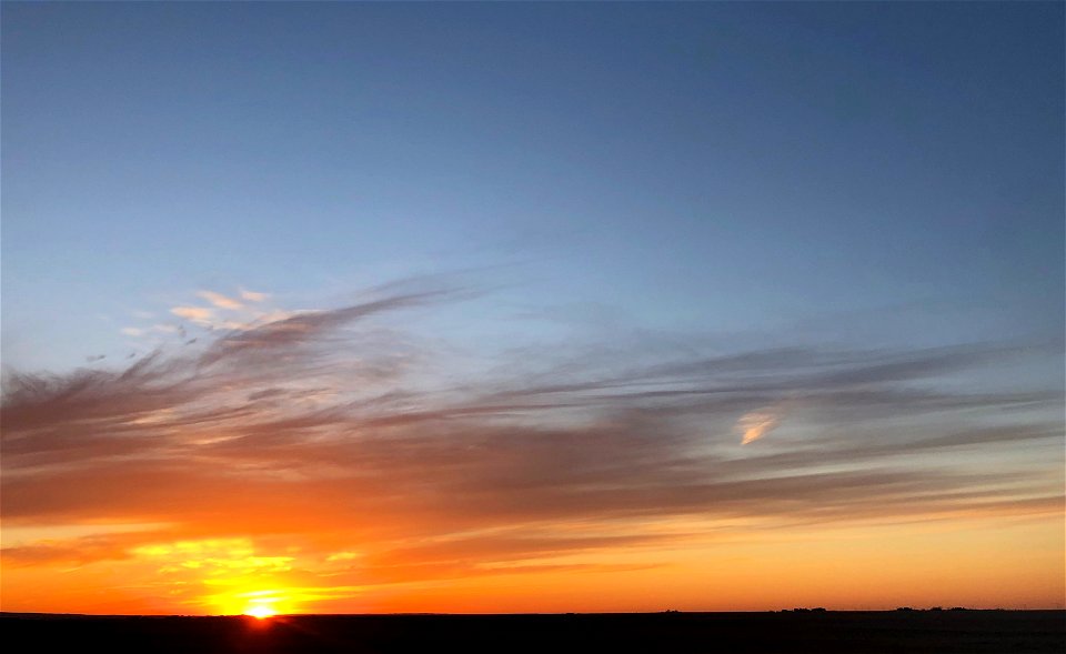 Paint the Sky With Light