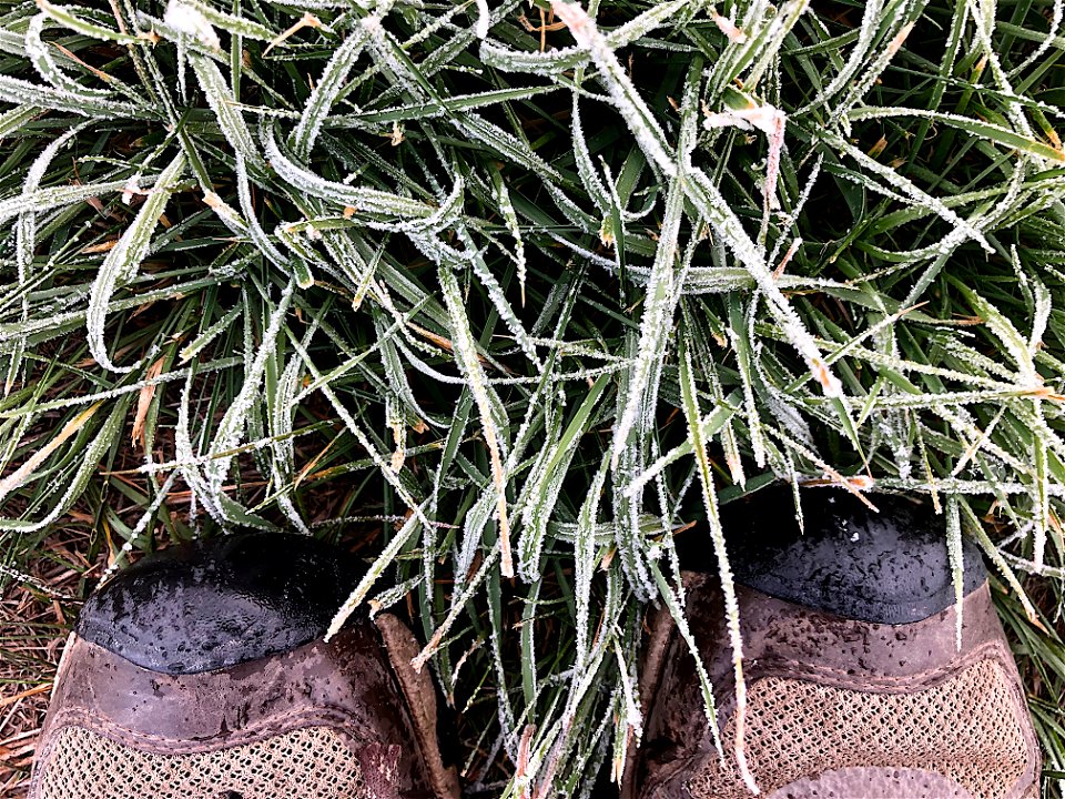 2021/365/285 What's With the Little Bits of Ice in the Grass? photo