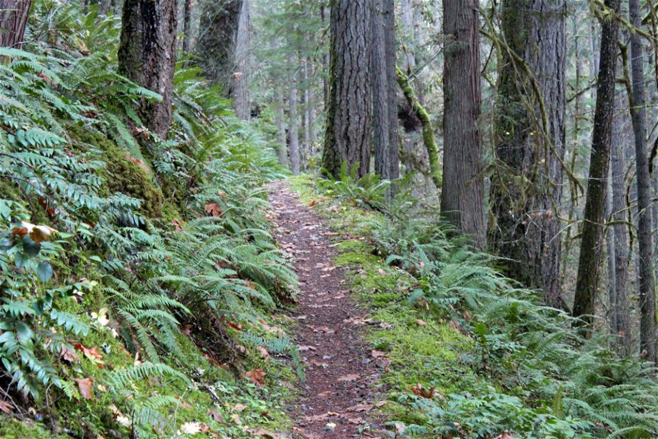 img_2218_trail29jpg_49364727762_o
