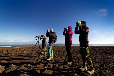 Birders looking at Arctic seabirds photo