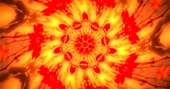 Kaleidoscope211210152743