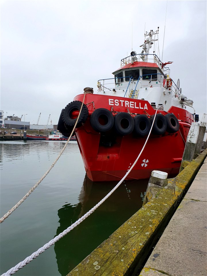 Estrella is home