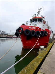 Estrella is home
