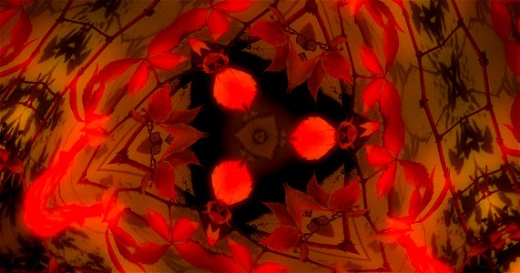 Kaleidoscope211210152804