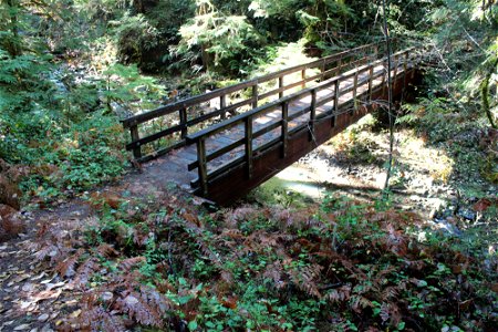img_2059_deception-creek-trail-bridge1jpg_49364042768_o