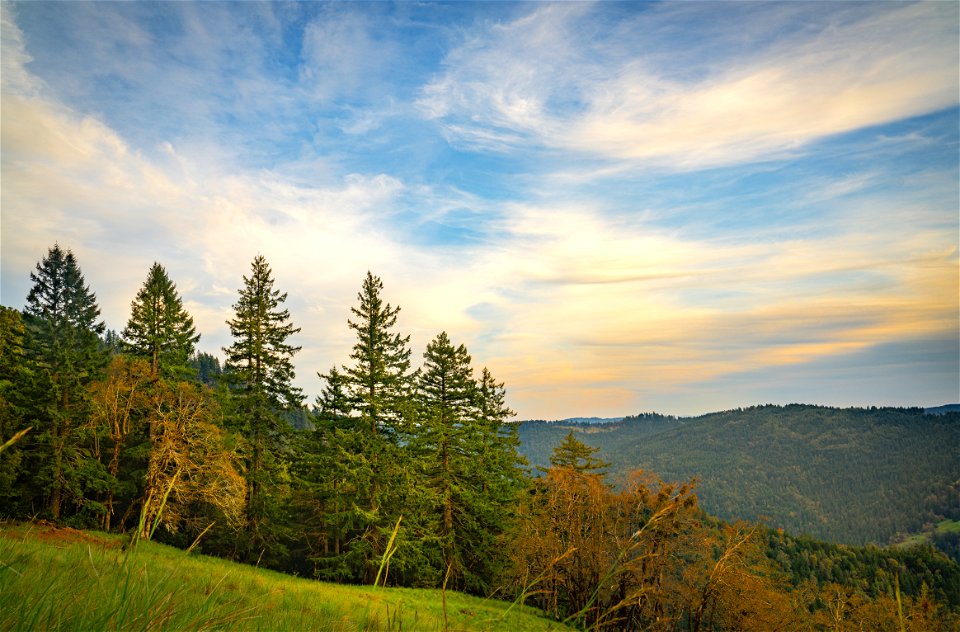 Lacks Creek Management Area