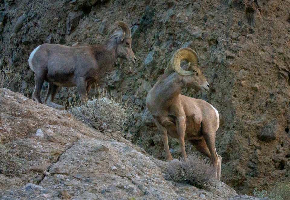 San Gorgonio Wilderness in Sand to Snow National Monument