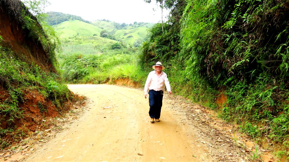 Yolombo, vereda de Pocoro photo